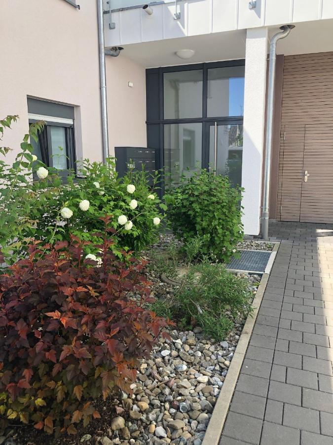 Seestern Apartment Фридрихсхафен Экстерьер фото
